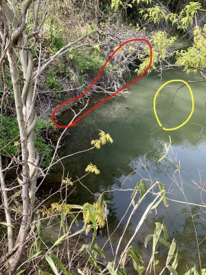 hideup 榎本英俊 ブログ写真 2020/04/14