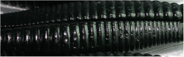 hideup 榎本英俊 ブログ写真 2020/04/14