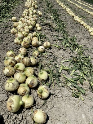 hideup 榎本英俊 ブログ写真 2020/05/02