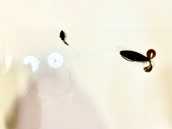 hideup 榎本英俊 ブログ写真 2020/05/02