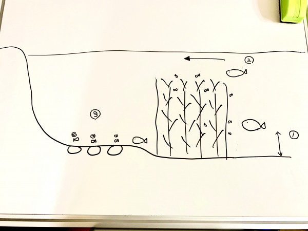 hideup 榎本英俊 ブログ写真 2020/05/03