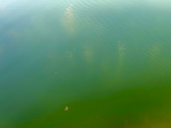 hideup 榎本英俊 ブログ写真 2020/05/04