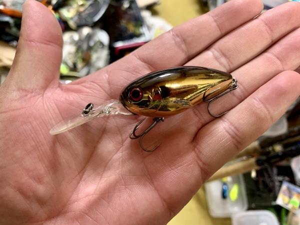 hideup 榎本英俊 ブログ写真 2020/05/13