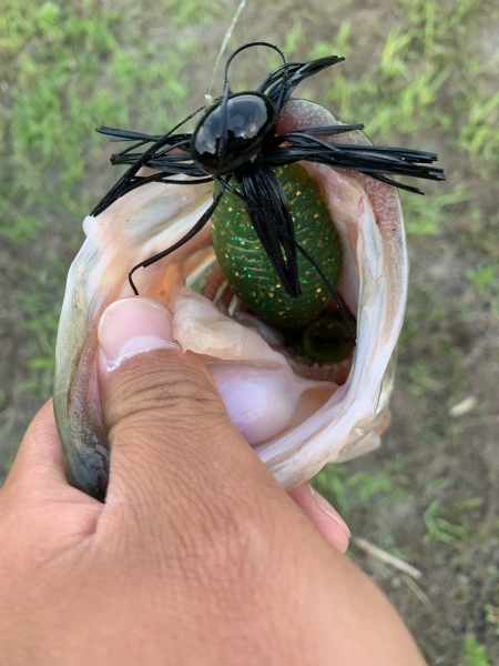 hideup 榎本英俊 ブログ写真 2020/06/04