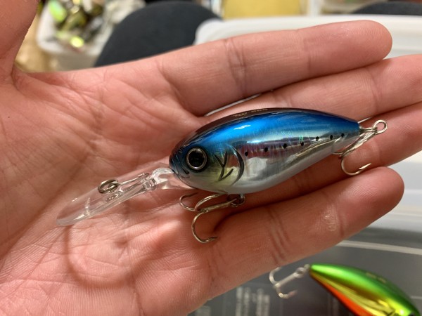 hideup 榎本英俊 ブログ写真 2020/06/05