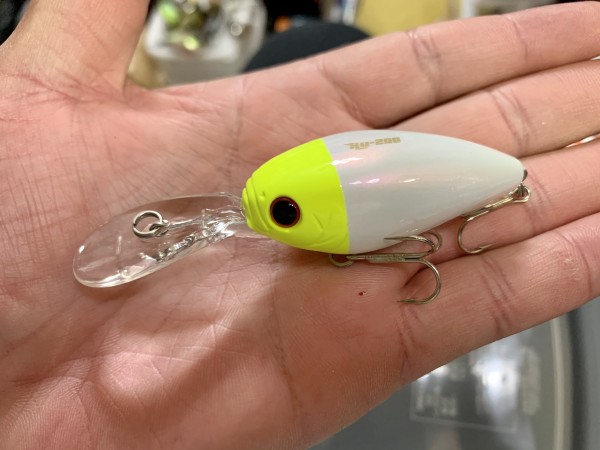 hideup 榎本英俊 ブログ写真 2020/06/05