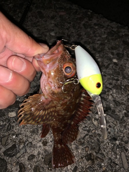 hideup 榎本英俊 ブログ写真 2020/06/05