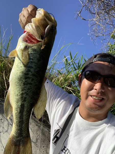 hideup 榎本英俊 ブログ写真 2020/06/07