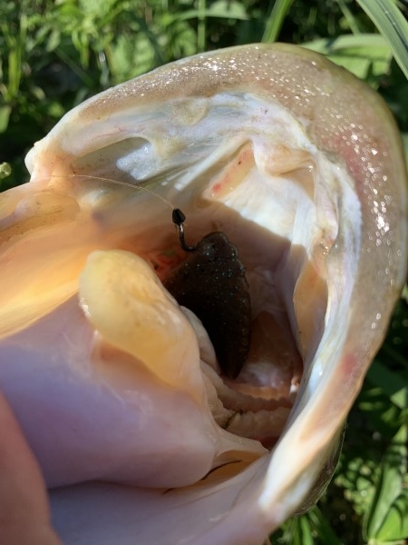 hideup 榎本英俊 ブログ写真 2020/06/07