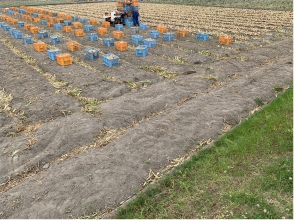 hideup 榎本英俊 ブログ写真 2020/06/07