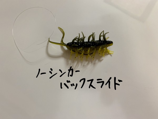 hideup 榎本英俊 ブログ写真 2020/06/12