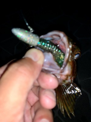 hideup 榎本英俊 ブログ写真 2020/06/17