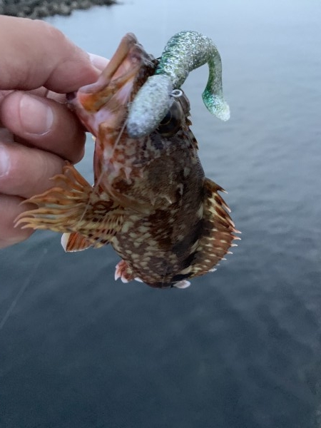 hideup 榎本英俊 ブログ写真 2020/06/17