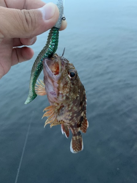 hideup 榎本英俊 ブログ写真 2020/06/17