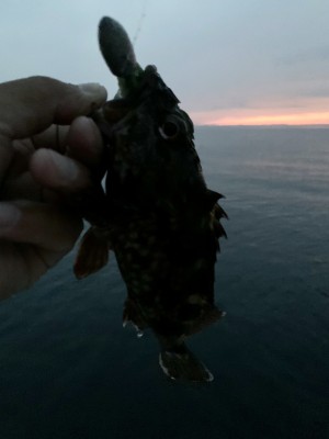 hideup 榎本英俊 ブログ写真 2020/06/17