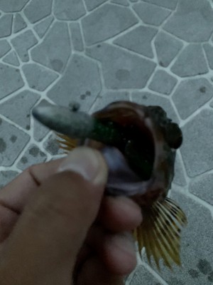 hideup 榎本英俊 ブログ写真 2020/06/17