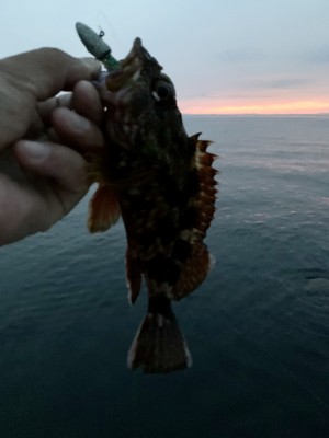 hideup 榎本英俊 ブログ写真 2020/06/17