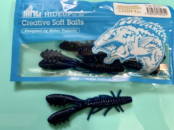 hideup 榎本英俊 ブログ写真 2020/06/18