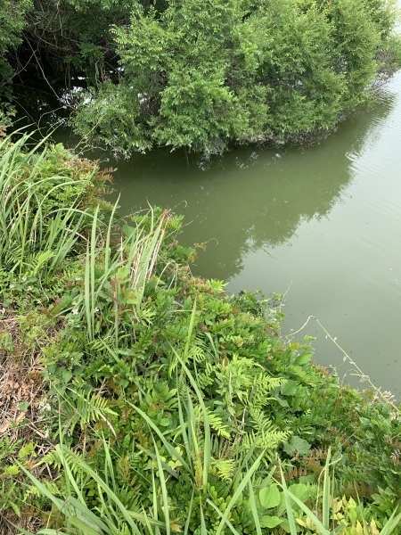 hideup 榎本英俊 ブログ写真 2020/06/20