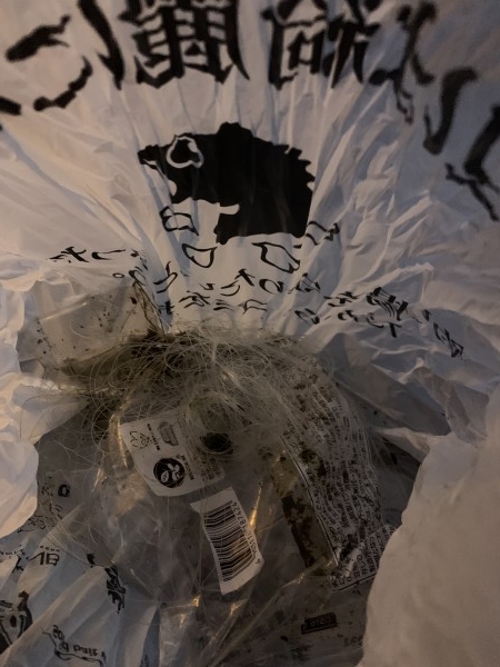 hideup 榎本英俊 ブログ写真 2020/06/20