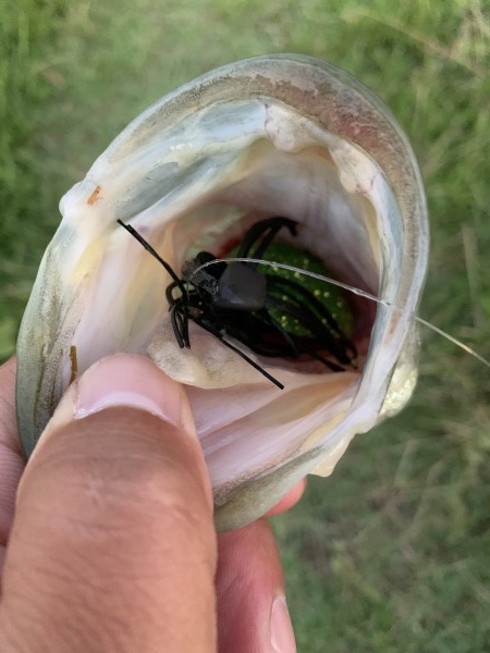 hideup 榎本英俊 ブログ写真 2020/06/20