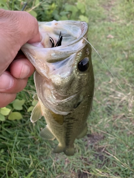 hideup 榎本英俊 ブログ写真 2020/06/20