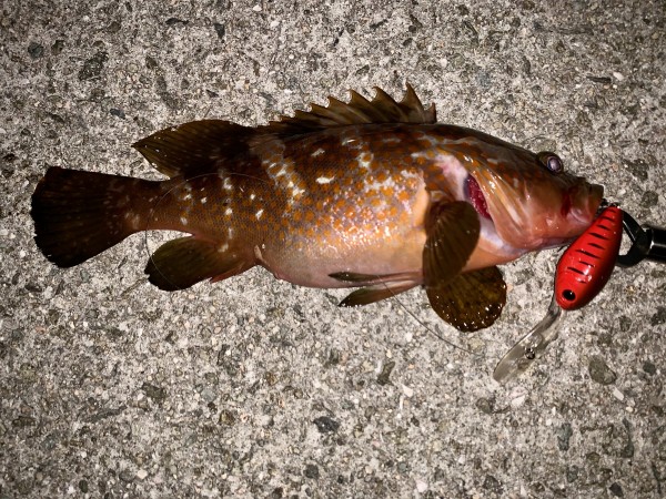 hideup 榎本英俊 ブログ写真 2020/07/02