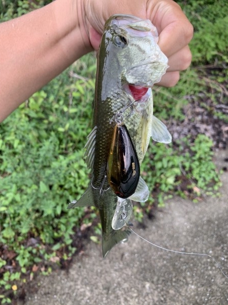 hideup 榎本英俊 ブログ写真 2020/07/04