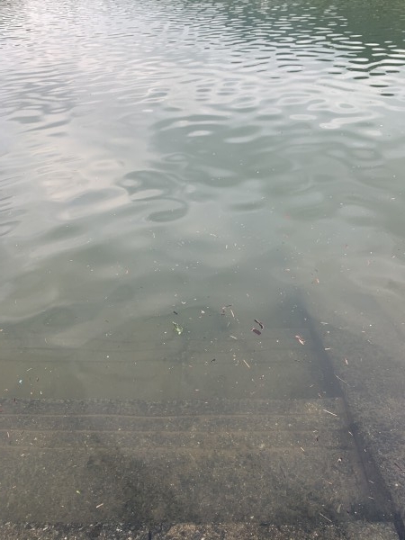 hideup 榎本英俊 ブログ写真 2020/07/04