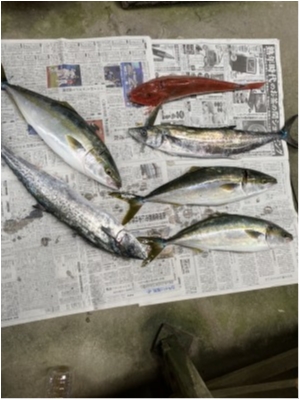 hideup 榎本英俊 ブログ写真 2020/07/05