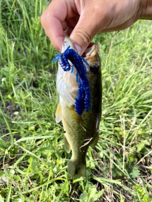 hideup 榎本英俊 ブログ写真 2020/08/01