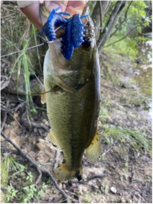 hideup 榎本英俊 ブログ写真 2020/08/02