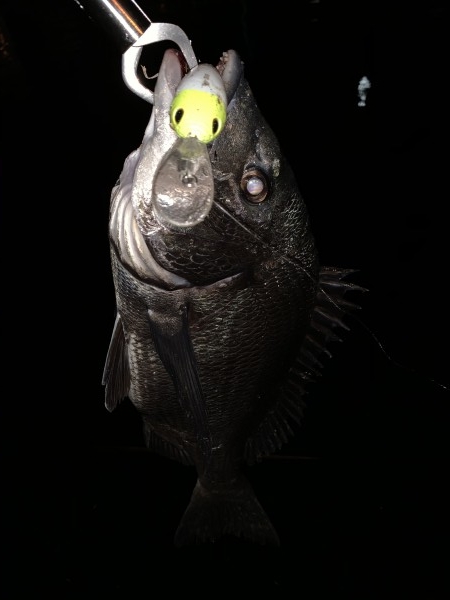 hideup 榎本英俊 ブログ写真 2020/08/04