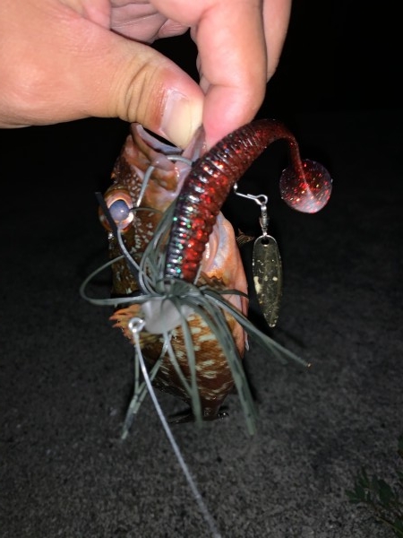 hideup 榎本英俊 ブログ写真 2020/08/05