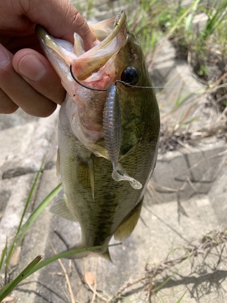 hideup 榎本英俊 ブログ写真 2020/08/10