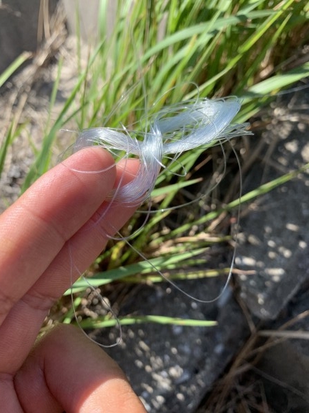 hideup 榎本英俊 ブログ写真 2020/08/10