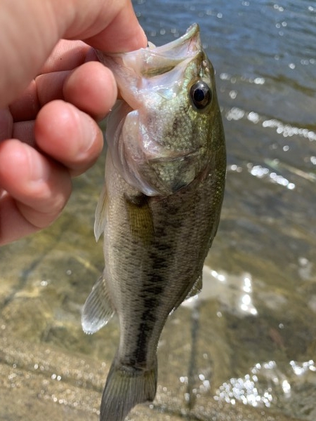 hideup 榎本英俊 ブログ写真 2020/08/10