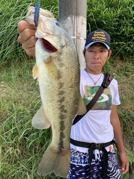 hideup 榎本英俊 ブログ写真 2020/08/11