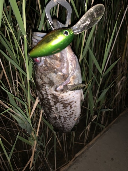 hideup 榎本英俊 ブログ写真 2020/08/12