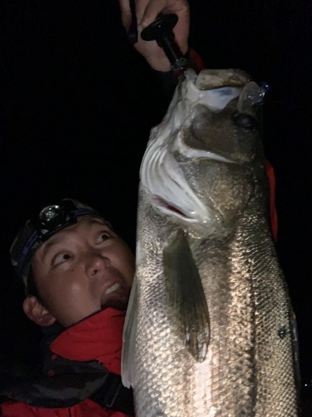 hideup 榎本英俊 ブログ写真 2020/09/03