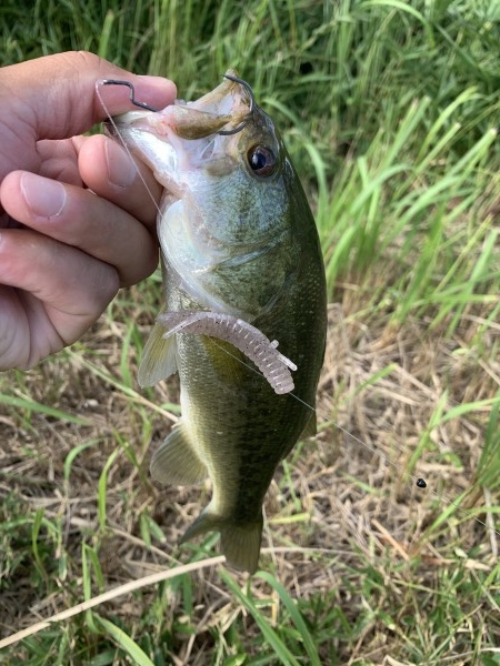 hideup 榎本英俊 ブログ写真 2020/09/12