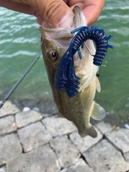 hideup 榎本英俊 ブログ写真 2020/09/12