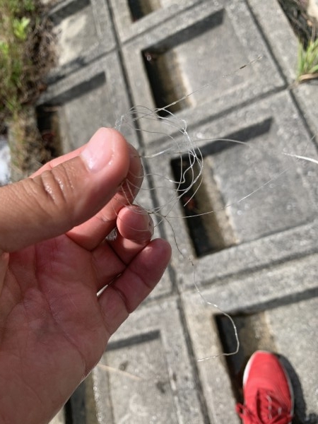 hideup 榎本英俊 ブログ写真 2020/09/12