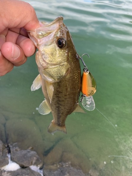 hideup 榎本英俊 ブログ写真 2020/09/12