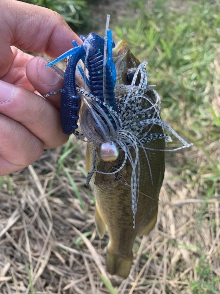 hideup 榎本英俊 ブログ写真 2020/09/12