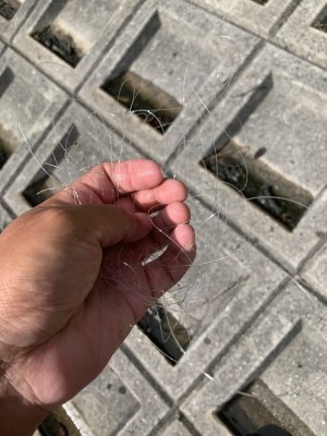 hideup 榎本英俊 ブログ写真 2020/09/12