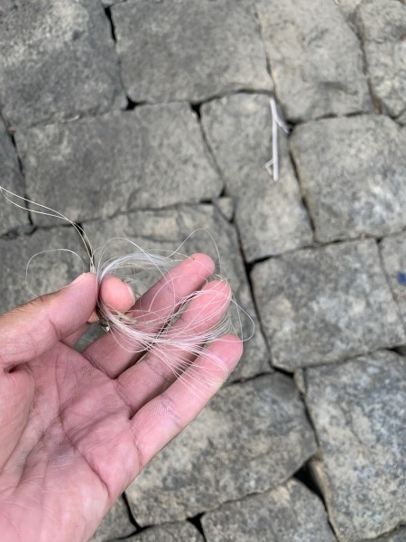 hideup 榎本英俊 ブログ写真 2020/09/12