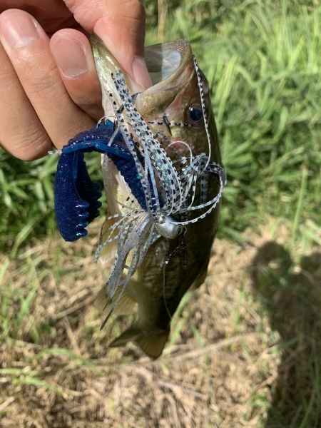 hideup 榎本英俊 ブログ写真 2020/09/12