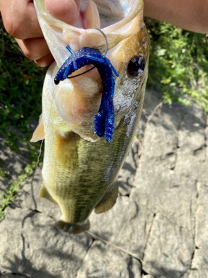 hideup 榎本英俊 ブログ写真 2020/09/13