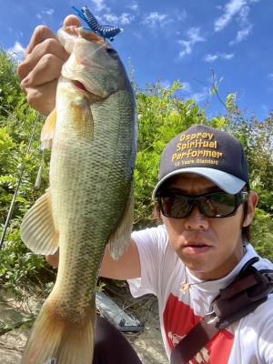 hideup 榎本英俊 ブログ写真 2020/09/13